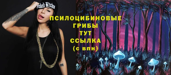 не бодяженный Алзамай