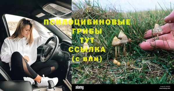хмурый Алексеевка